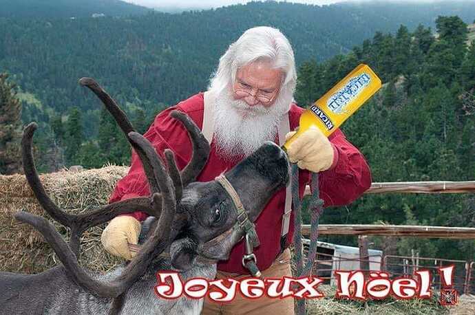 bonnes fêtes